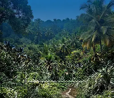 تنوع